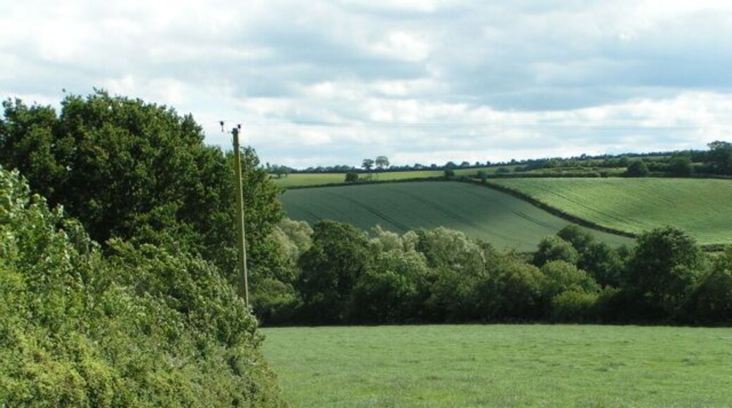 Field east of West Sandford, but west of Sandford