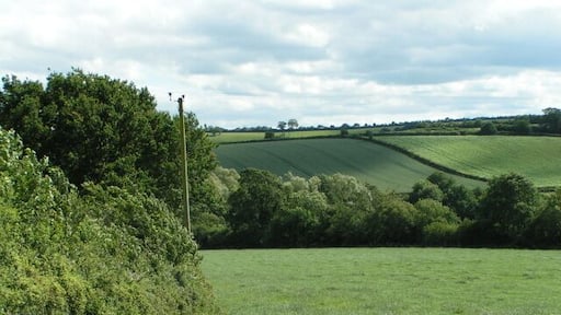 Field east of West Sandford, but west of Sandford