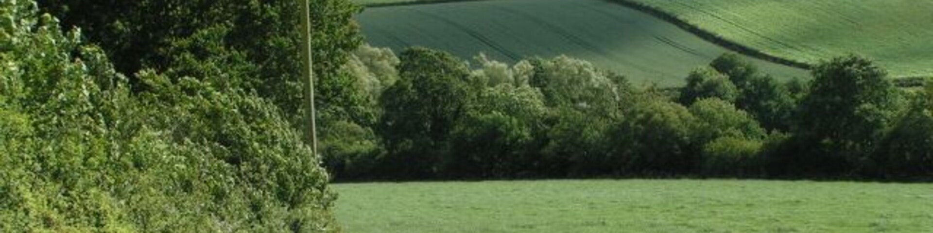 Field east of West Sandford, but west of Sandford