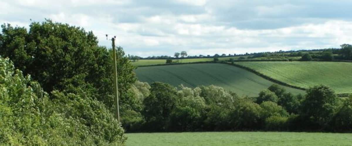 A rural landscape with rolling green fields, dense hedgerows, and a cloudy sky.