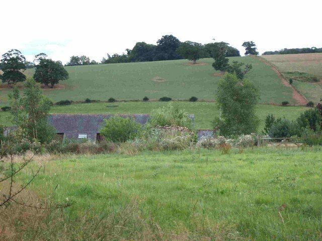 The roof of Mooracre and farmland beyond. The farm is on the north side of a shallow valley, and the fields beyond rise gently to the ridge to the south. Beyond the ridge is Creedy Park