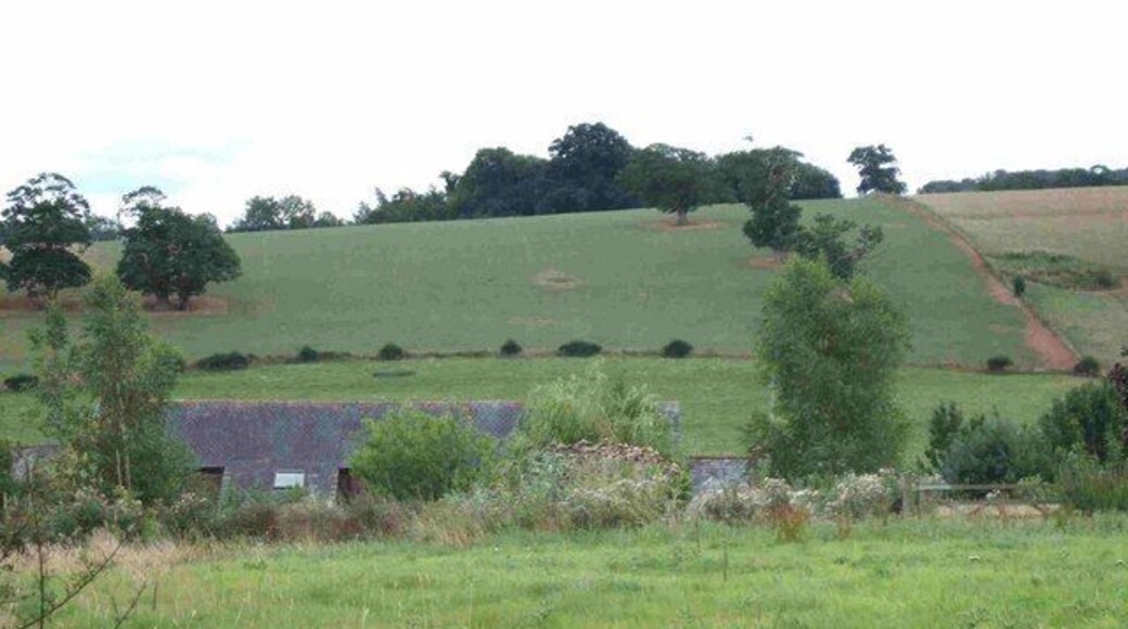 The roof of Mooracre and farmland beyond. The farm is on the north side of a shallow valley, and the fields beyond rise gently to the ridge to the south. Beyond the ridge is Creedy Park