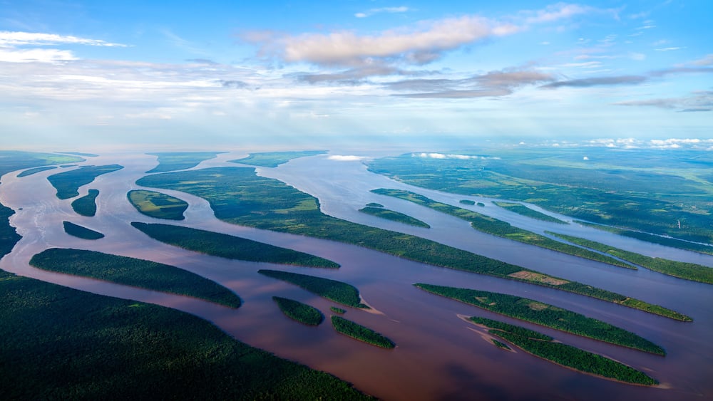 Majestic Delta of the Essequibo River Flowing into the Atlantic Ocean - Guyana, South America