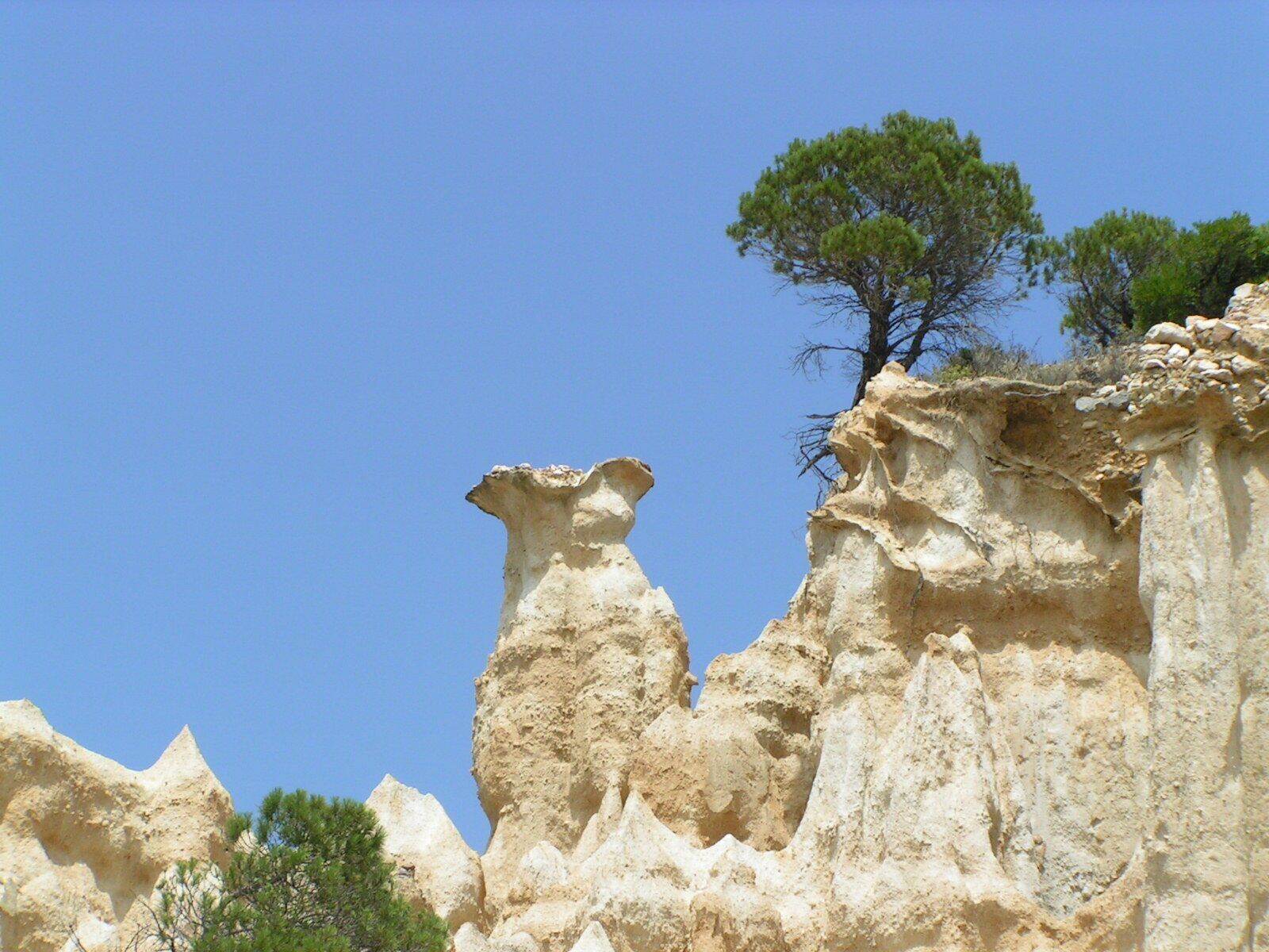 A rocky landscape with unique formations and a lone tree.