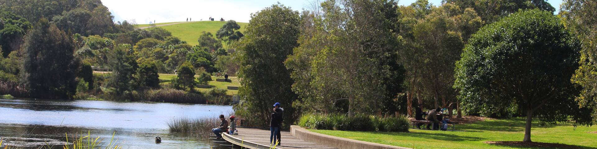 A park with a lake, walking paths, and trees.