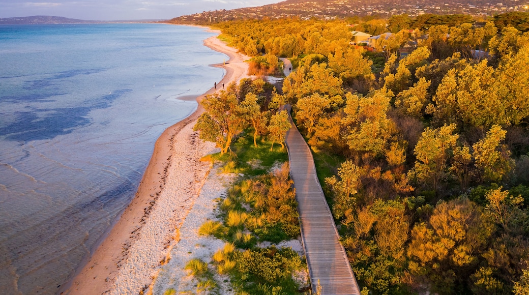 Coastal boardwalk and beach in golden light