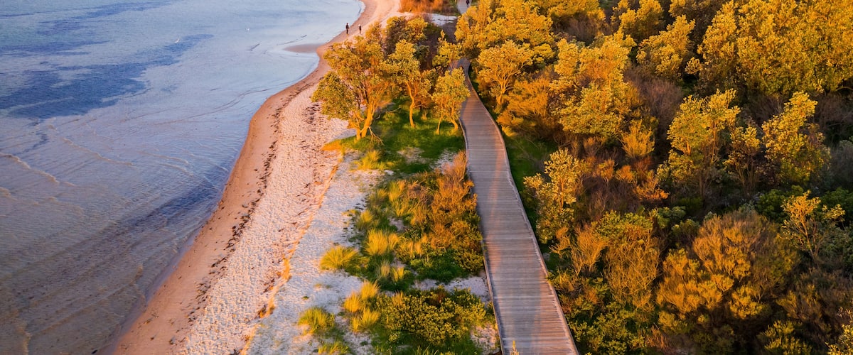 A coastal landscape with a sandy beach, a wooden boardwalk, and dense forested hills.