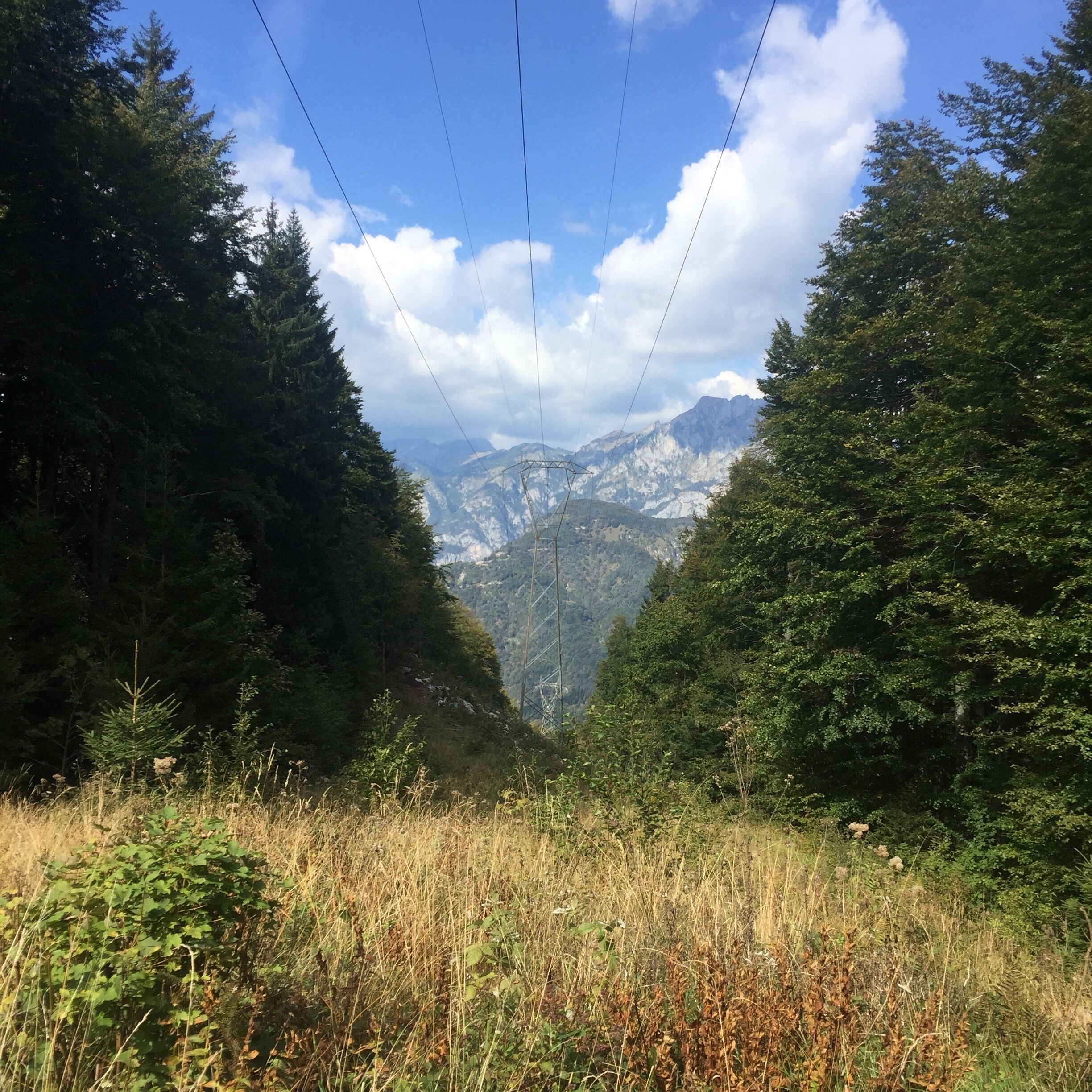 A valley with dense forest on either side, a clear sky, and distant mountains.