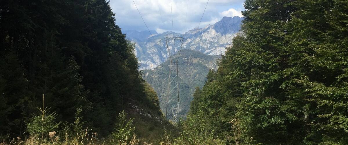 A valley with dense forest on either side, a clear sky, and distant mountains.