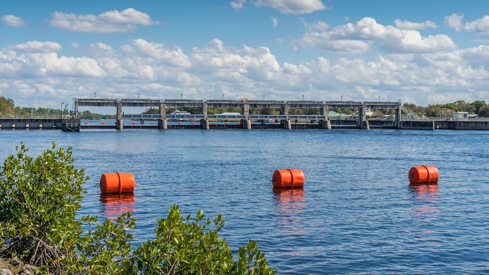 A bridge over water with orange buoys and greenery in the foreground.