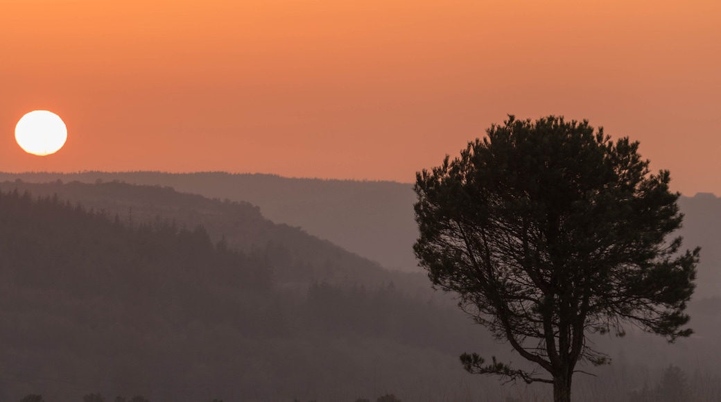 Coucher de soleil au pied du Mont Saint-Michel de Braspart