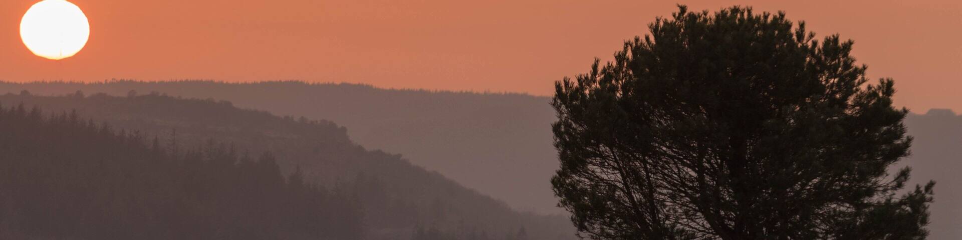 Coucher de soleil au pied du Mont Saint-Michel de Braspart