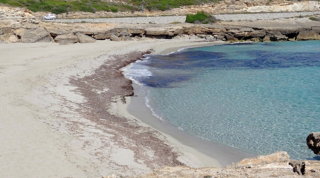 Cala Mitjana, Gemeinde Artà, Mallorca, Spanien