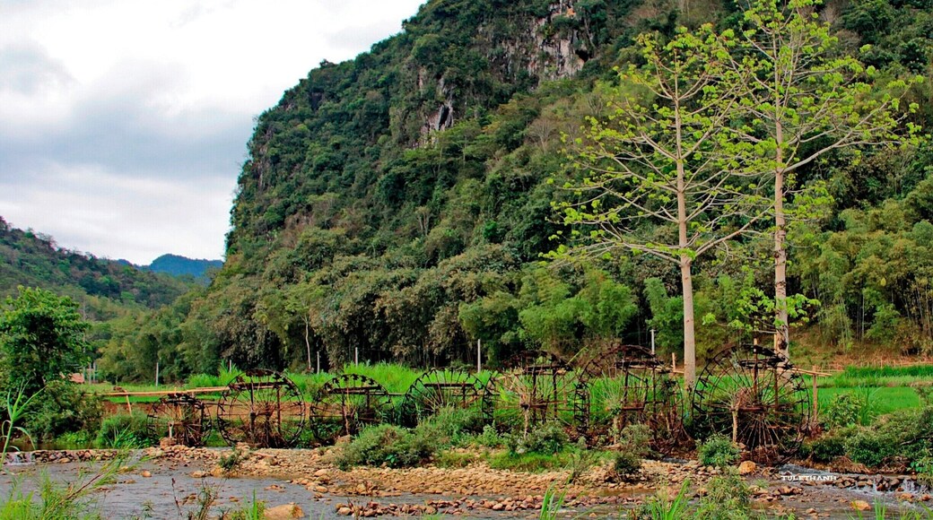 cọng nuoc tai ban công bá thuoc thanh hóa viêt nam