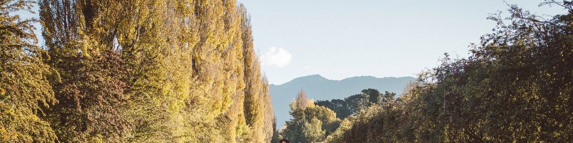 Finding autumn roads to longboard near Arrowtown 🍂