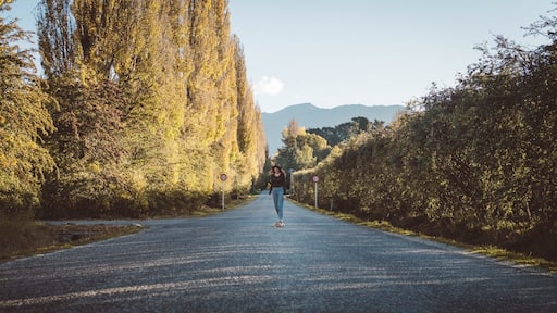 Finding autumn roads to longboard near Arrowtown 🍂