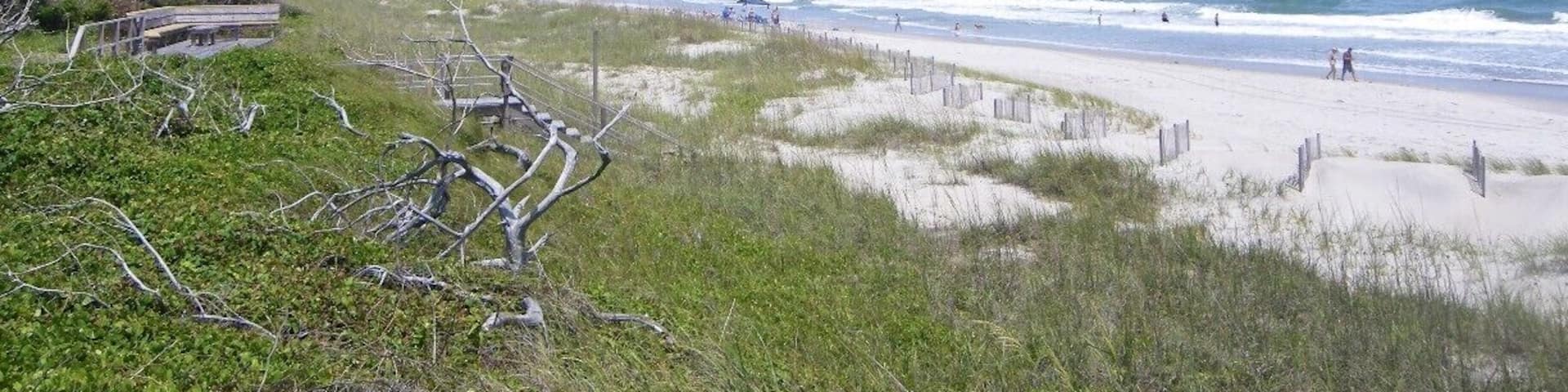 Perfect summer day at the beach