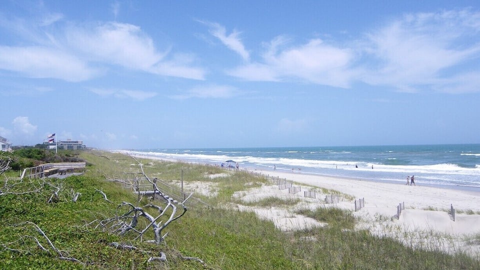 Perfect summer day at the beach