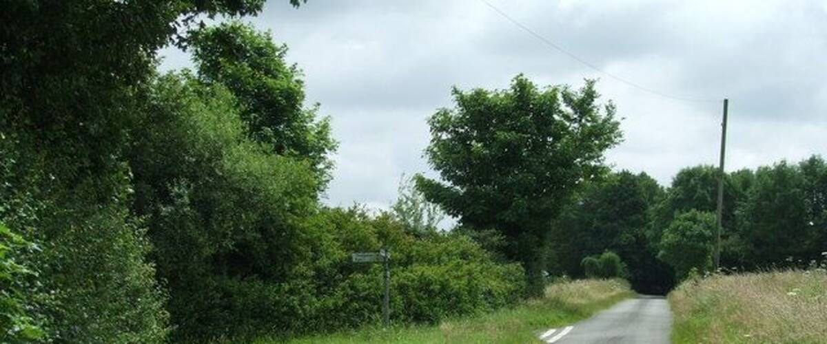 A rural road with a dashed white line, surrounded by greenery and trees.