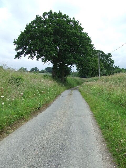 Country lane Country road near to Aspall, Suffolk.