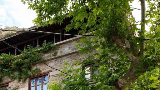 A warm atmosphere awaits you in this small seaside village where the caters never leave you alone. Enjoy the mini cafes.
#LifeAtExpedia
#HiddenGems
#Turkey
#Cats
#Cafe
#Travel