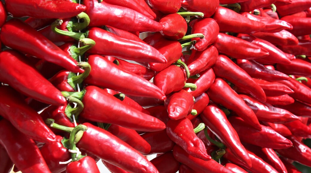 Piments d'Espelette / Espelette pepper (Capsicum annuum)