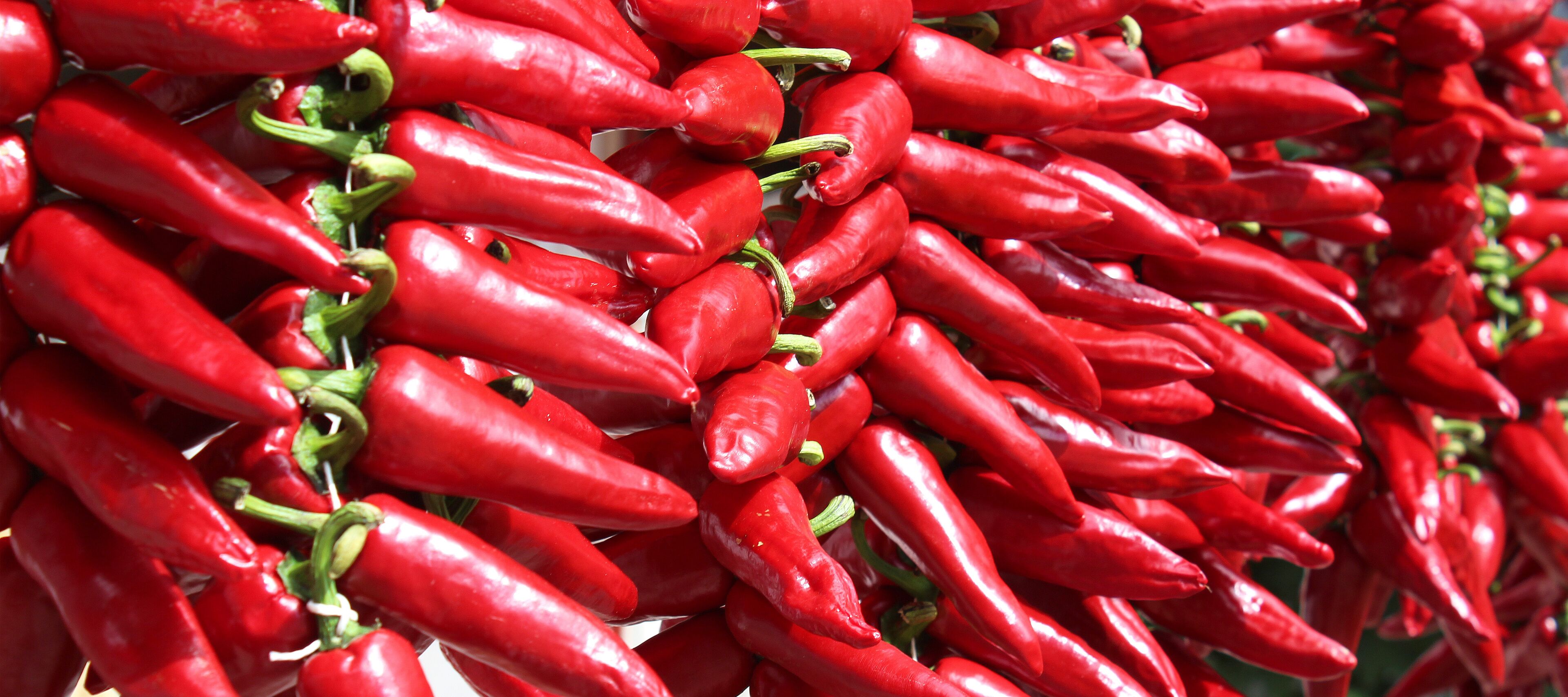 A large pile of red chili peppers.