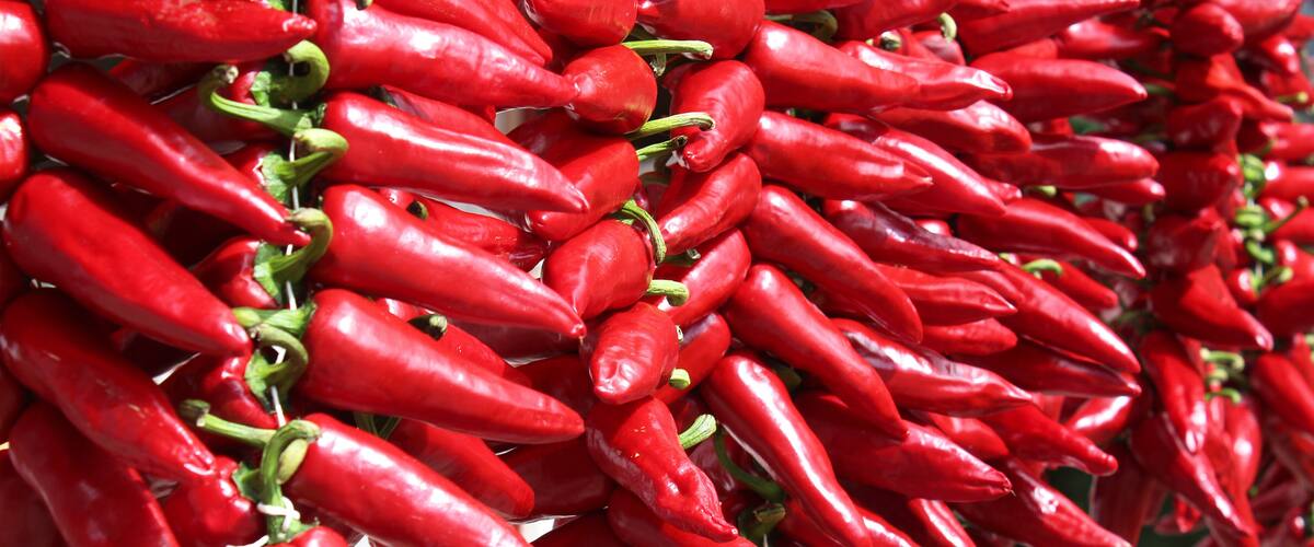 A large pile of red chili peppers.
