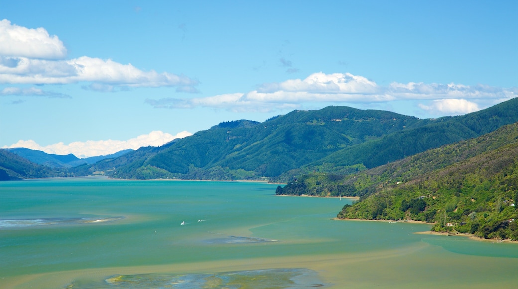 Picton which includes mountains, a bay or harbour and forests