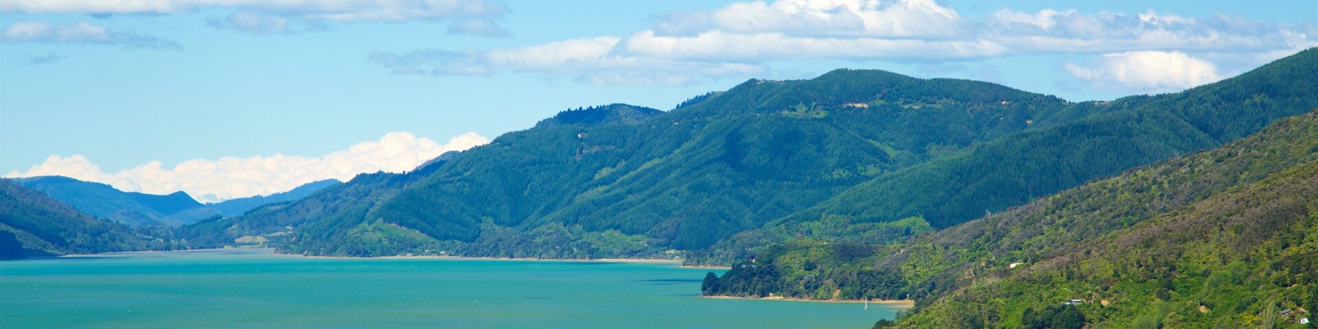 Un paisaje costero con mar turquesa, colinas verdes y cielo despejado.