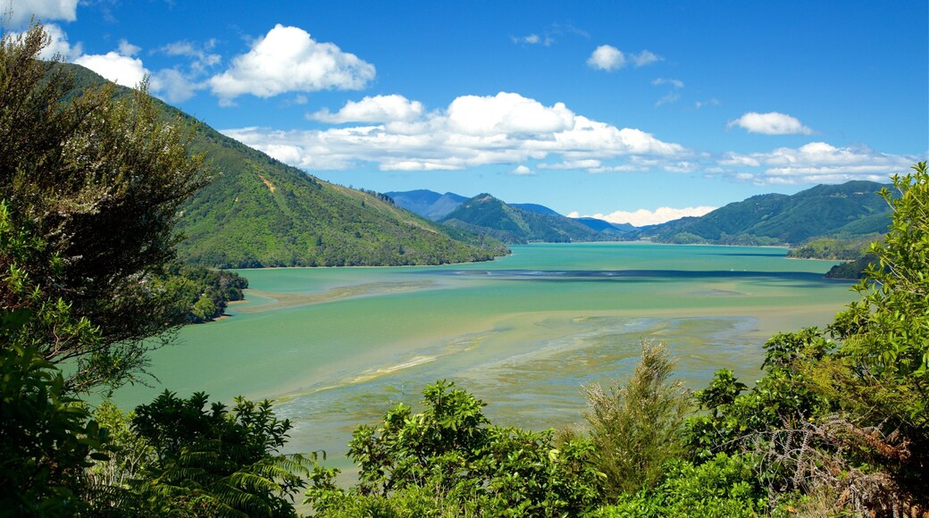 Picton ofreciendo escenas forestales, una bahía o puerto y montañas