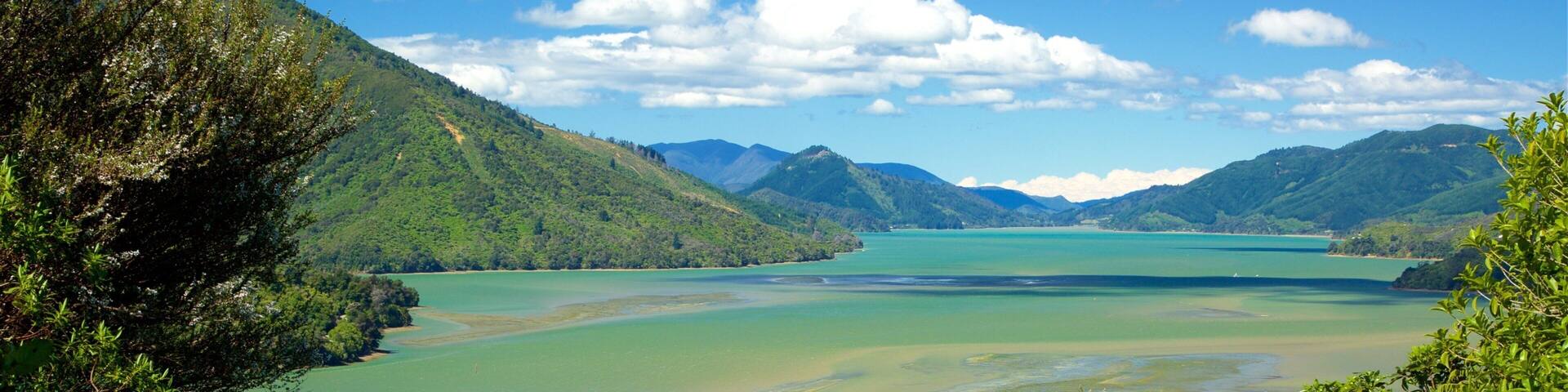 Picton showing a bay or harbor, mountains and forest scenes