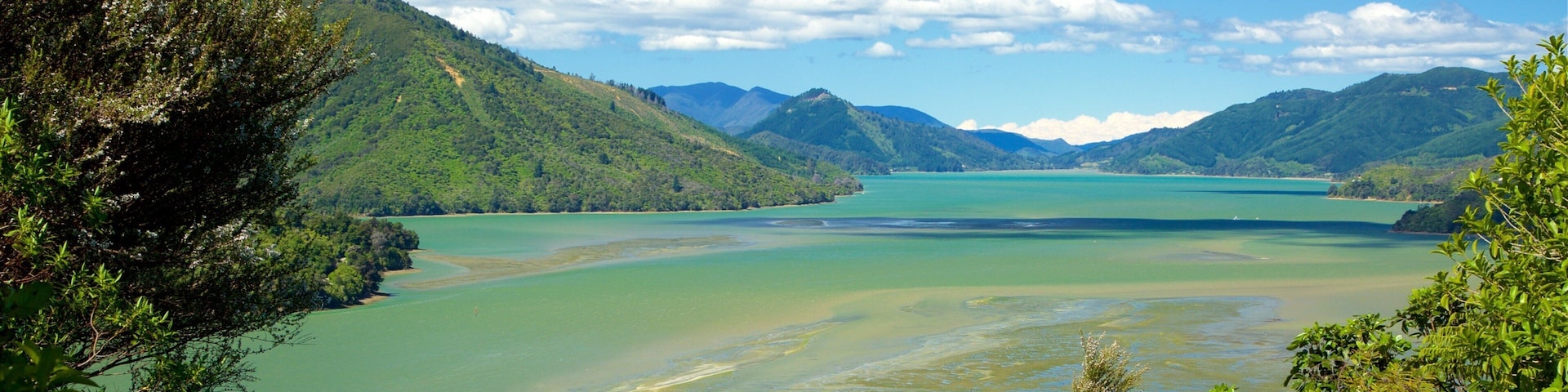 Picton showing a bay or harbor, mountains and forest scenes