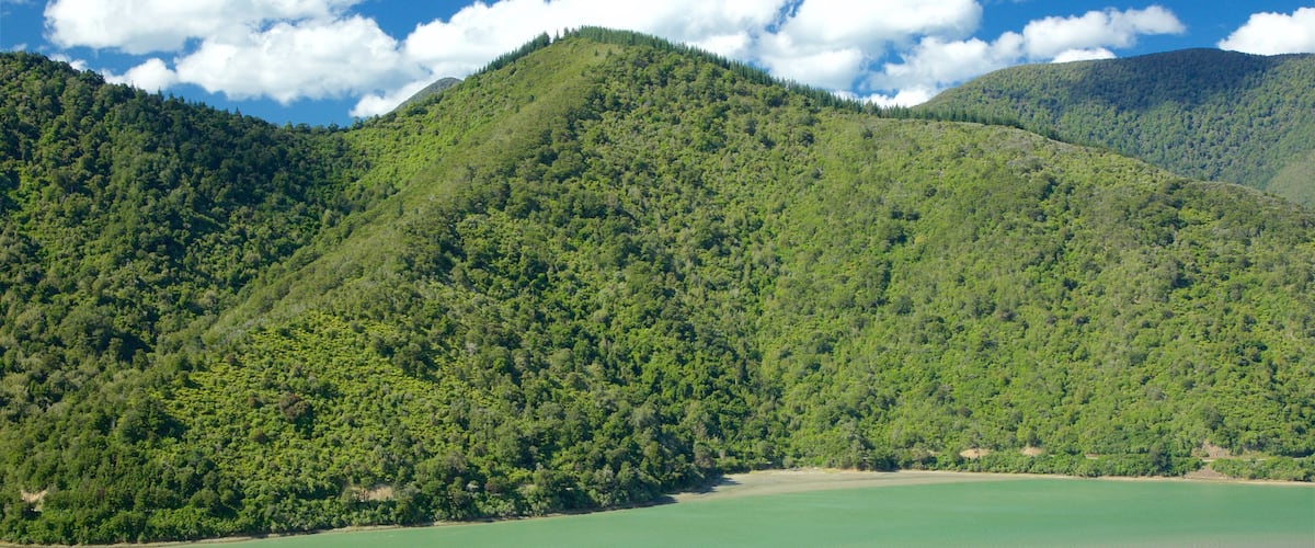 Mahau Sound featuring a bay or harbor, forest scenes and mountains