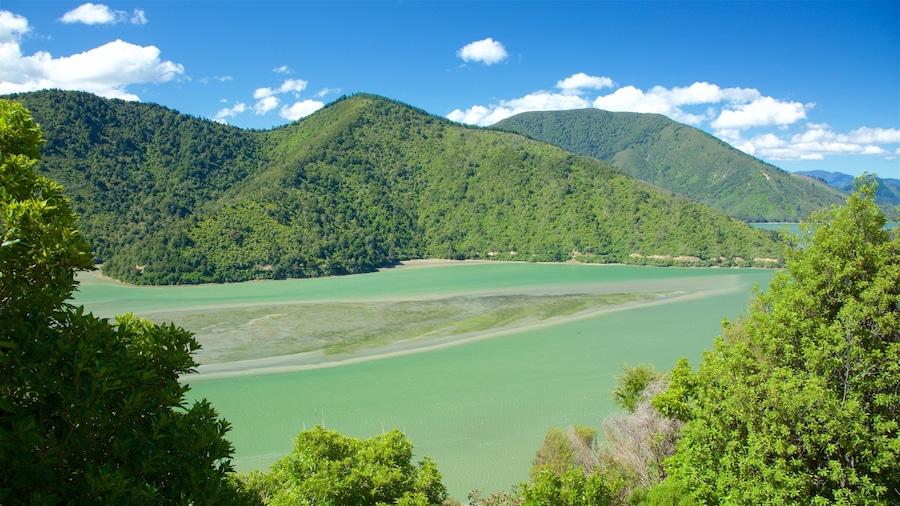 Mahau Sound which includes tranquil scenes and a river or creek