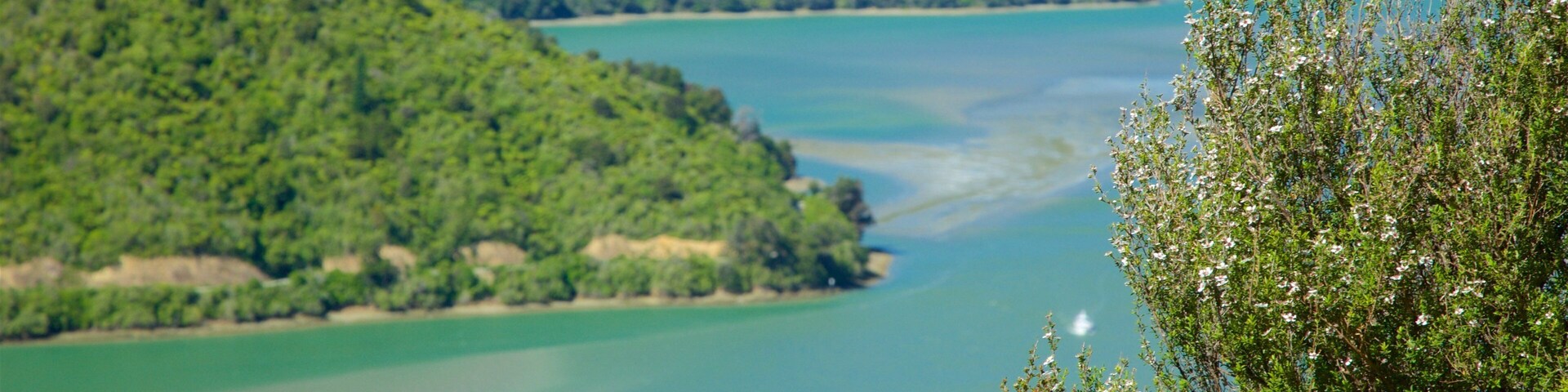 Um rio serpenteando por um vale verdejante, com montanhas ao fundo.