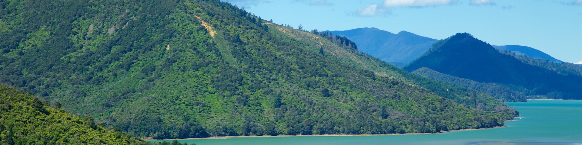 Mahau Sound showing tranquil scenes and general coastal views