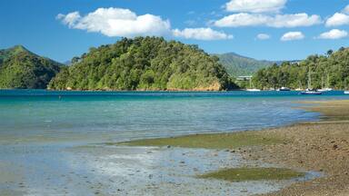Ngakuta Bay que incluye una bahía o puerto, escenas tranquilas y una playa de guijarros