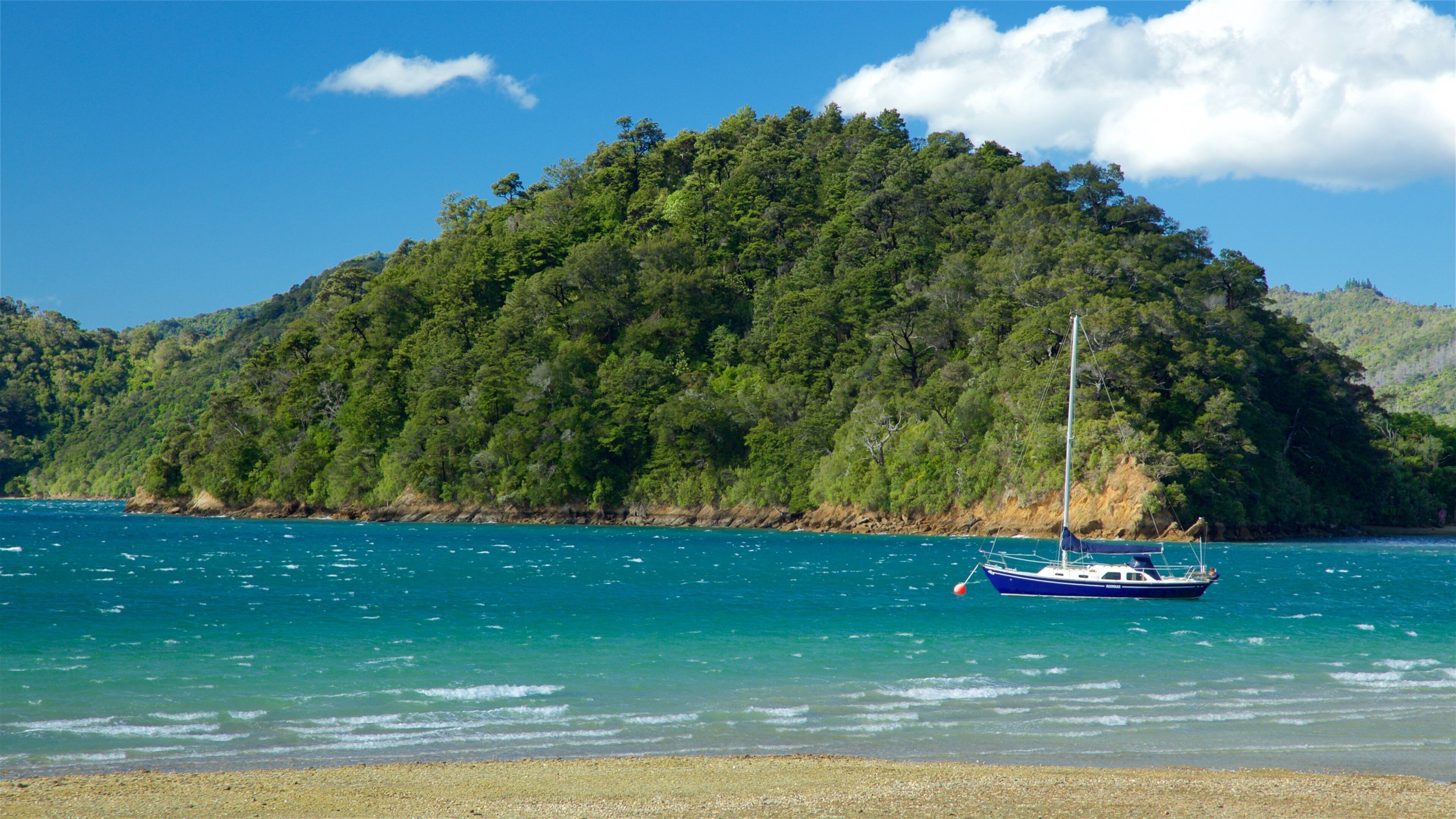 Ngakuta Bay featuring sailing, a pebble beach and a bay or harbor
