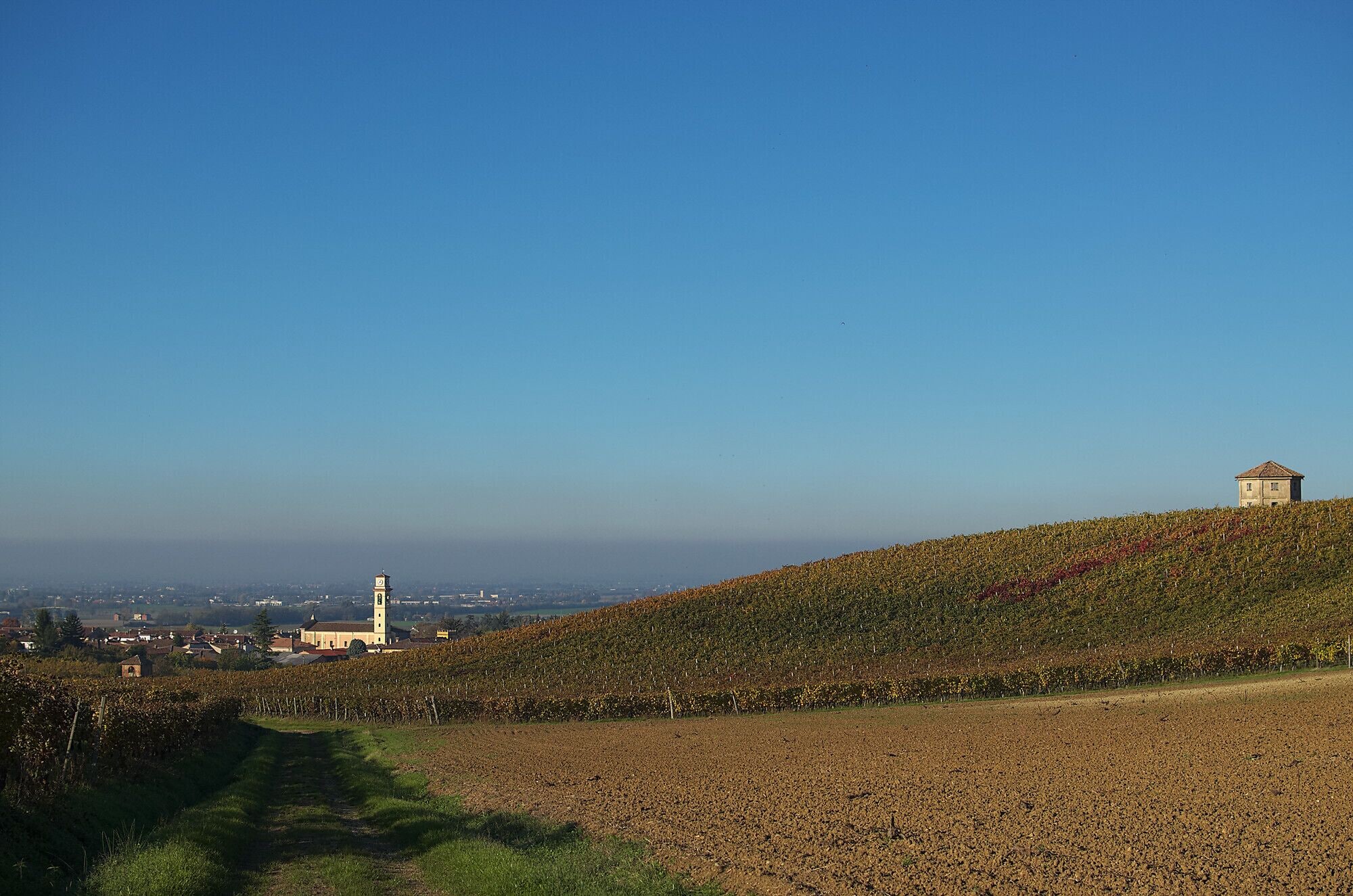 A vineyard with a tower and a small building on a hill.