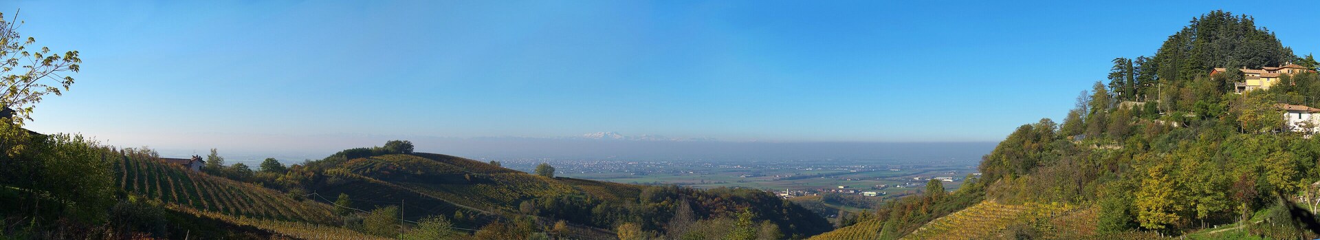 A vineyard on a hillside with a distant view of a city and snow-capped mountains.