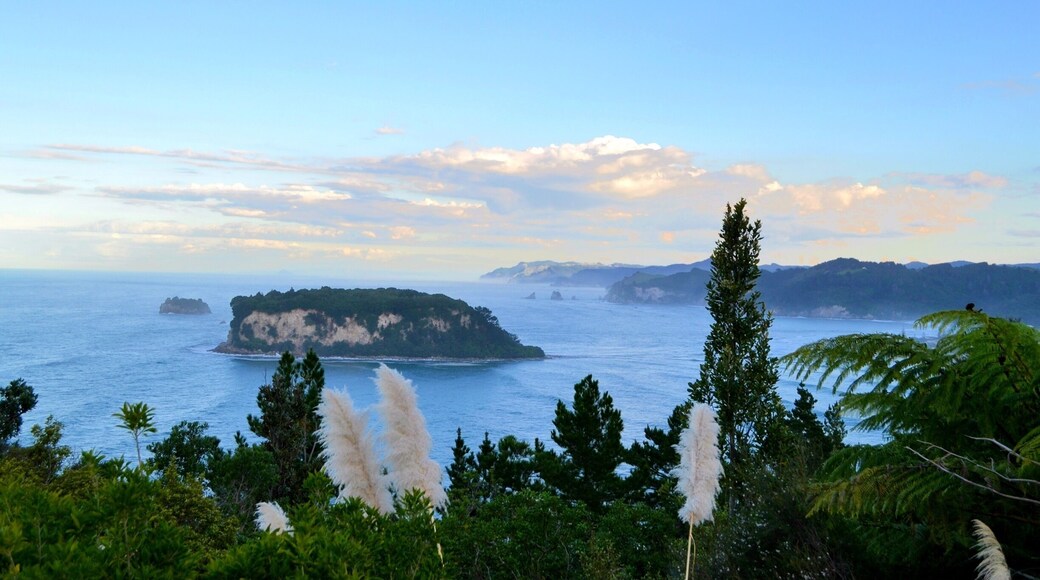 Day spent well hiking some tracks in Onemana #SpringFun