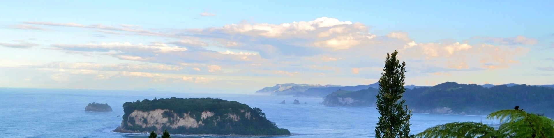 Day spent well hiking some tracks in Onemana #SpringFun