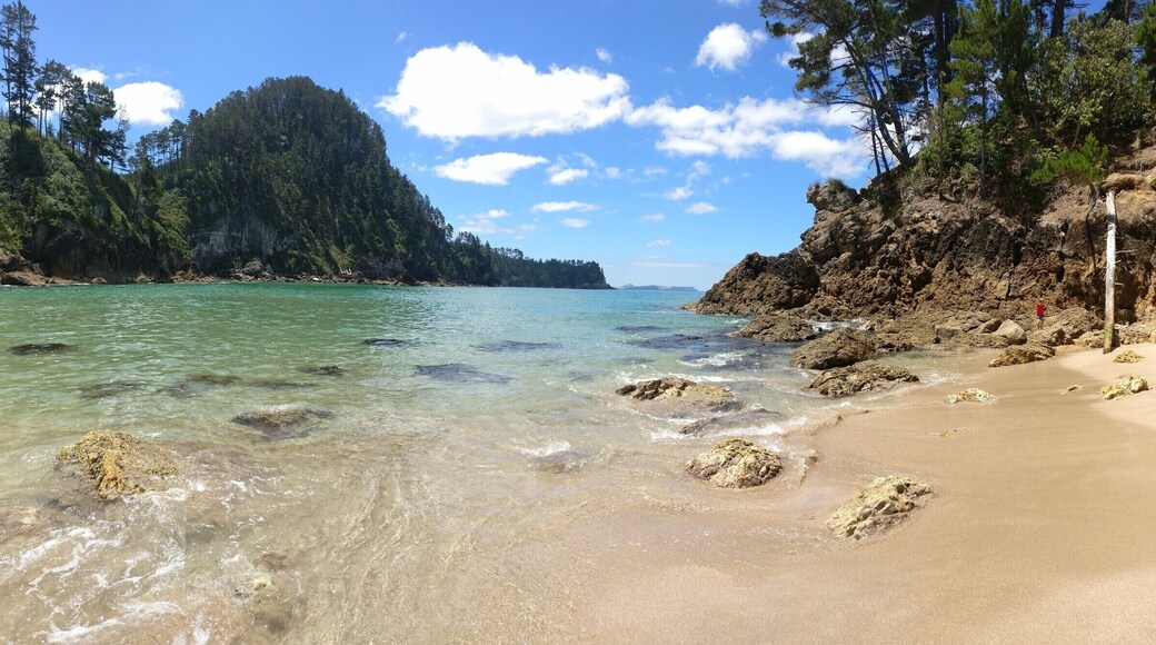 Amazing beach with transparent waters, not crowded, possibility to kayak even fishing some paua. It connects via natural caves with another beach. #NewZealand #HiddenGem #LifeAtExpedia #beachtips