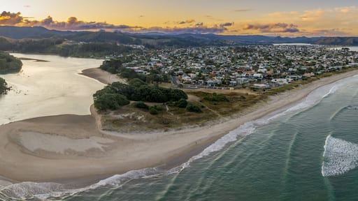 A coastal town with a beach, a river, and mountains in the background.