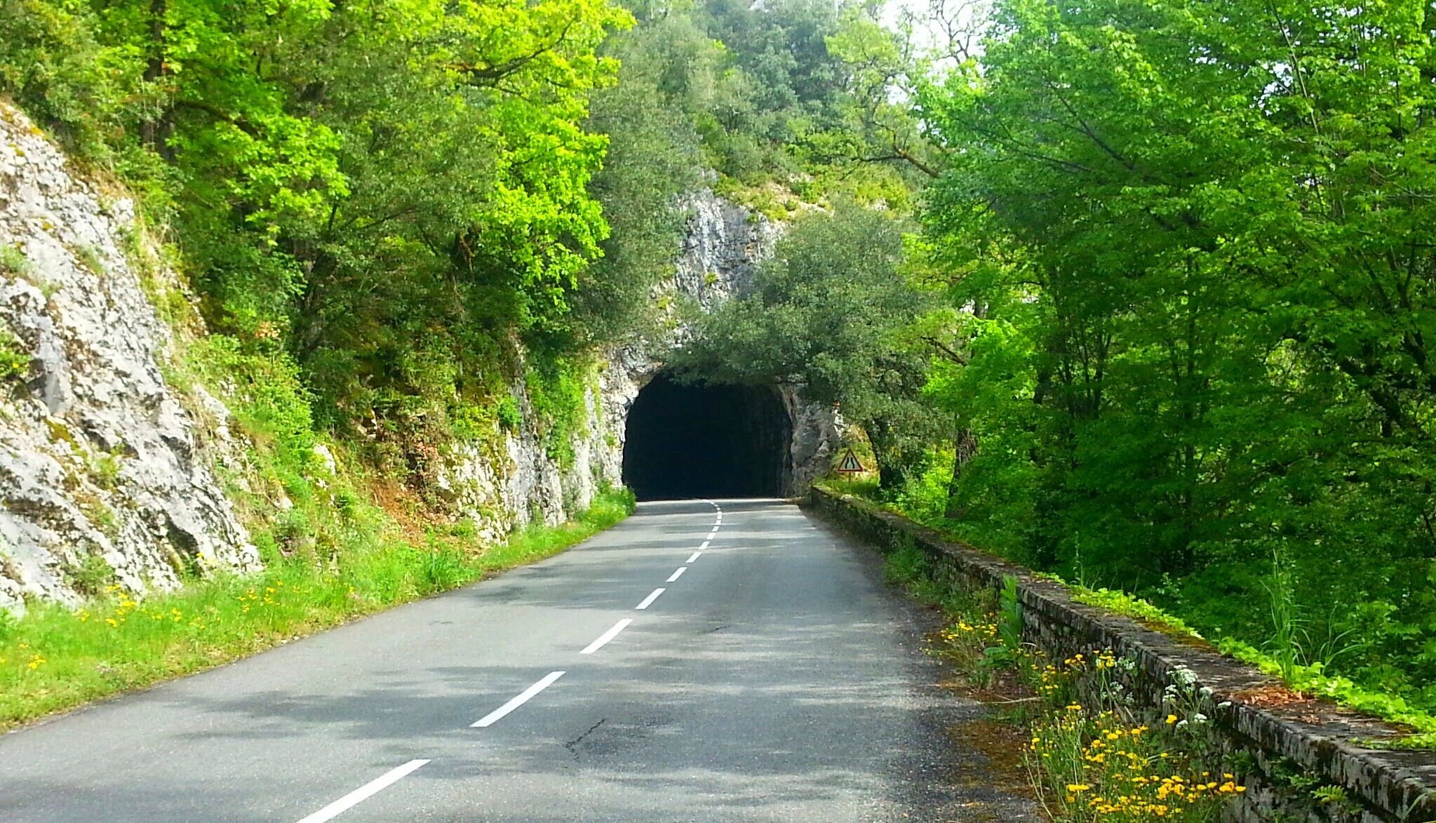 A road leading through a tunnel surrounded by lush greenery and rocky cliffs.