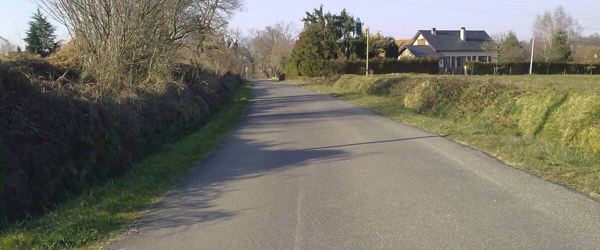 A rural road flanked by trees and a house in the distance.