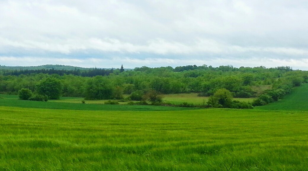 Dégradé de gris et de vert, vers Villesèque (46)