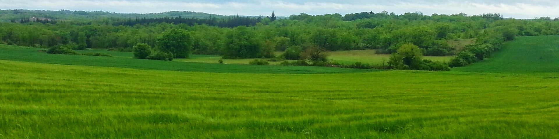 Dégradé de gris et de vert, vers VillesÚque (46)