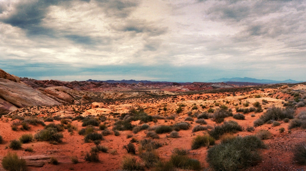 Panoramic view of rock formations in the Valley of Fire State Park, Moapa Valley, Nevada, USA.